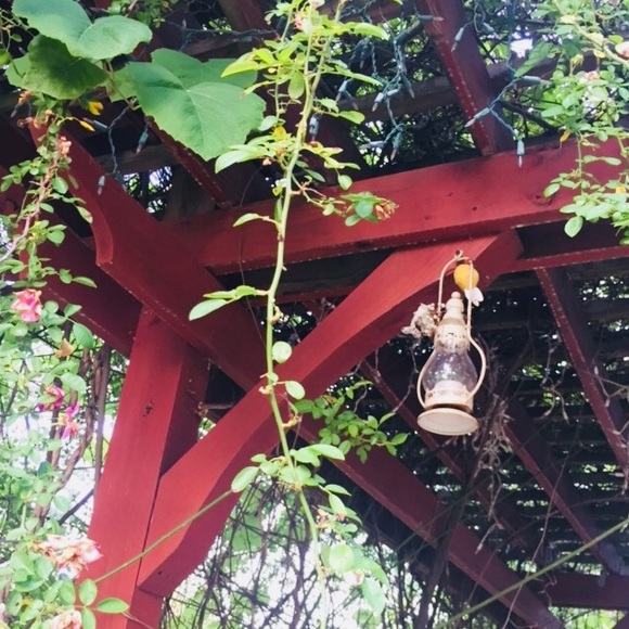 Meet your Posher, Joseline - Picture 1 of 1